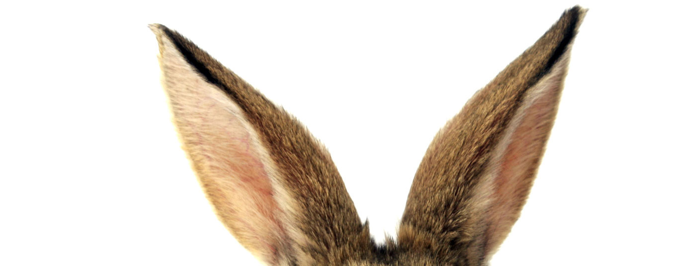 Trauen sie sich? (Bild: © Vilmos Varga - Fotolia.com)